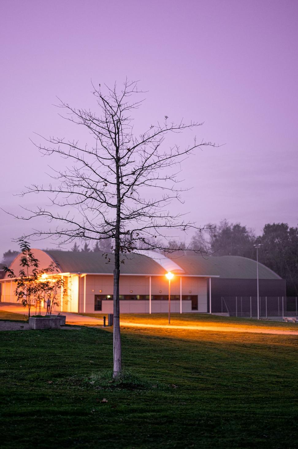 Parkdale Community Center