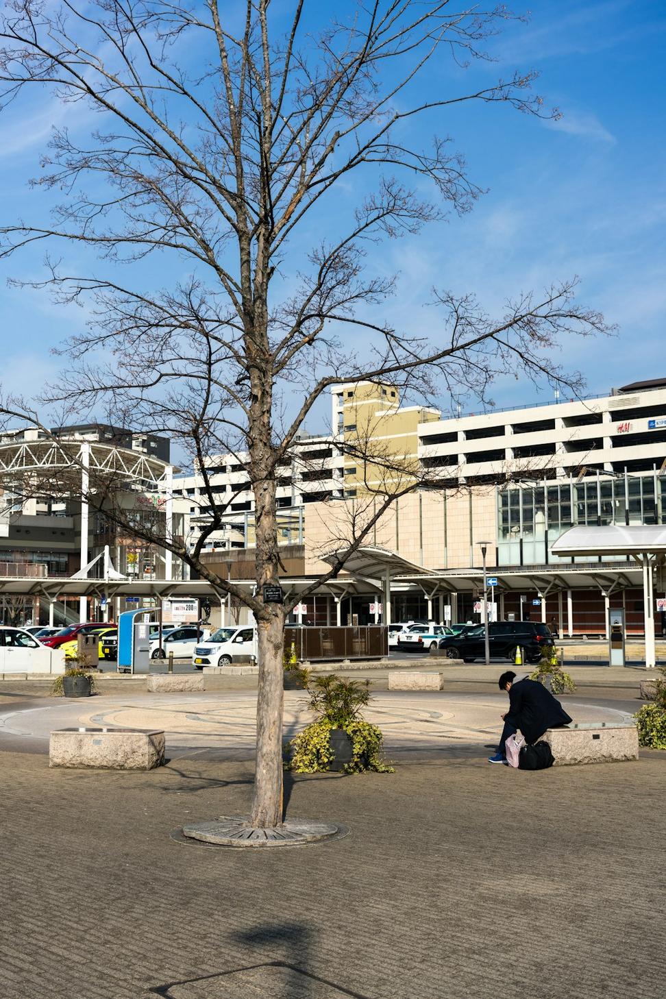 Urban project